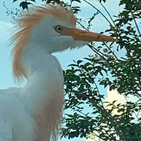 Meet your Posher, Susan - Picture 4 of 4